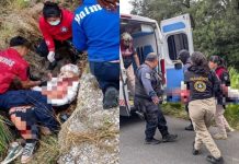 Tragedia en Acajete: Jauría de pitbulls ataca y quita la vida a un hombre en plena calle