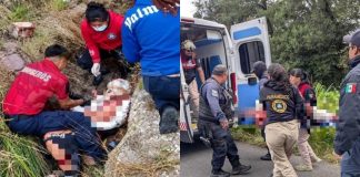 Tragedia en Acajete: Jauría de pitbulls ataca y quita la vida a un hombre en plena calle
