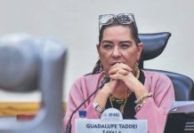 Guadalupe Taddei presenta su renuncia como consejera presidenta del INE