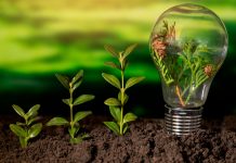 Día Mundial del Ahorro de Energía: ¿cómo puedes reducir tu consumo en casa?