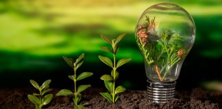 Día Mundial del Ahorro de Energía: ¿cómo puedes reducir tu consumo en casa?