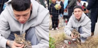 “Toribio”, el gatito callejero que Santa Fe Klan adoptó y se volvió viral El rapero Ángel Quezada, conocido como Santa Fe Klan, interactuando con Toribio, el pequeño gato callejero que decidió llevarse a casa.