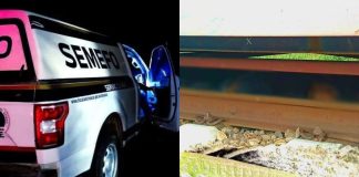 Hombre muere atropellado por el tren en Pátzcuaro