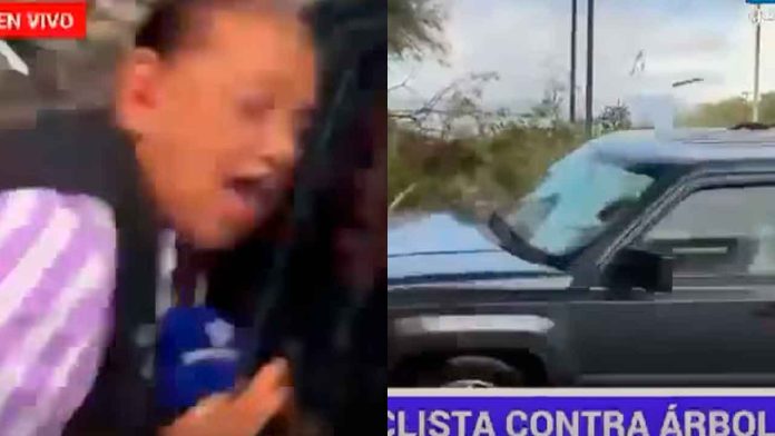 atropellan-a-reportera