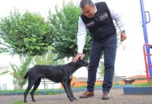 Barragán un aliado permanente en el cuidado de los animales de compañía