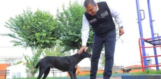 Barragán un aliado permanente en el cuidado de los animales de compañía
