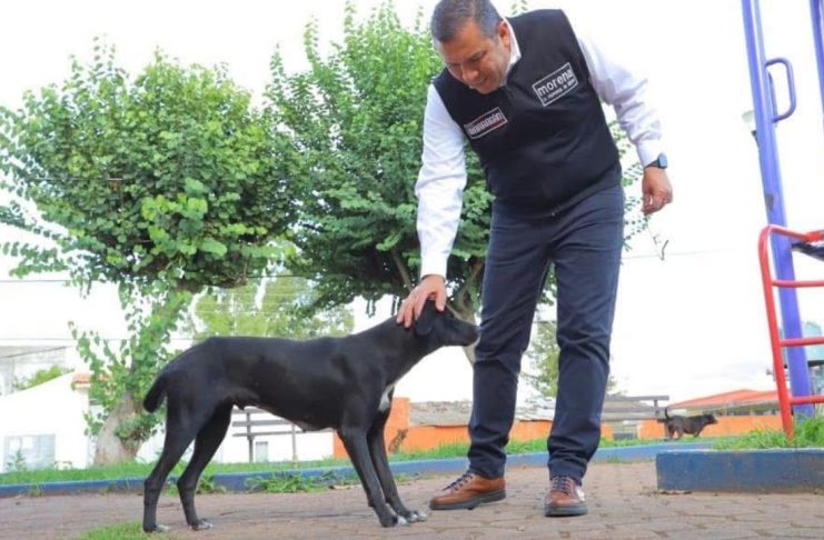 Barragán un aliado permanente en el cuidado de los animales de compañía