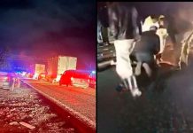 Fatal choque de moto y camioneta deja una joven muerta y dos heridos, en la carretera Paracho-Cherán