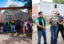Morelia pinta para ser Verde: Ernesto Núñez