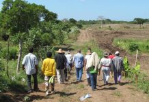 Valora Ocampo visita de Sheinbaum pero advierte grave crisis por desplazamiento en Tierra Caliente