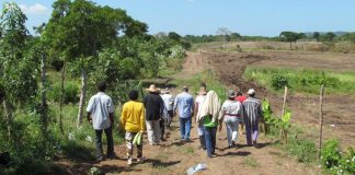 Valora Ocampo visita de Sheinbaum pero advierte grave crisis por desplazamiento en Tierra Caliente