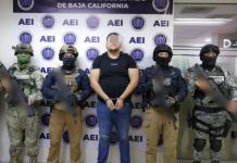 Detienen a “El Nenuco” por asesinato de agente estatal en Tijuana