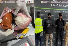#VIDEO //Perro policía frustra contrabando en el Aeropuerto de la CDMX