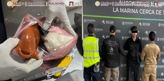 #VIDEO //Perro policía frustra contrabando en el Aeropuerto de la CDMX