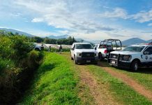 Ejecutan a dos masculinos dentro de baños portátiles, en predios agrícolas de Jacona Operativo de seguridad en campos agrícolas de Jacona tras el hallazgo de dos hombres sin vida.
