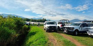Ejecutan a dos masculinos dentro de baños portátiles, en predios agrícolas de Jacona Operativo de seguridad en campos agrícolas de Jacona tras el hallazgo de dos hombres sin vida.