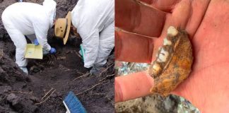 Alcaldesa de Zacapu dispuesta a colaborar para esclarecer caso de fosa clandestina con supuestos restos de menores