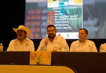 Persiste problemática en precio del agave por sobreproducción: Maestros Mezcaleros