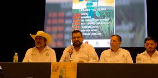 Persiste problemática en precio del agave por sobreproducción: Maestros Mezcaleros
