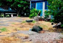 Hallan a hombre sin vida junto a un arma larga en Apatzingán