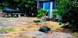 Hallan a hombre sin vida junto a un arma larga en Apatzingán