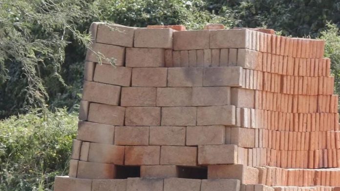 Autoridades investigan el hallazgo de fragmentos óseos localizados entre tierra para fabricar ladrillos en Atotonilco el Alto, Jalisco.