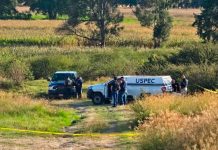 Hombre es asesinado en la colonia Lomas de San Juanito, al poniente de Morelia Acordonamiento de seguridad tras el hallazgo de un hombre sin vida en la colonia Lomas de San Juanito, en Morelia.
