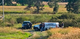 Hombre es asesinado en la colonia Lomas de San Juanito, al poniente de Morelia Acordonamiento de seguridad tras el hallazgo de un hombre sin vida en la colonia Lomas de San Juanito, en Morelia.