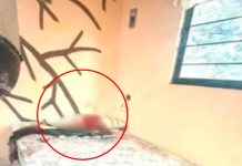 Joven de 17 años asesina a su hermano mayor a martillazos en la alcaldía Tlalpan