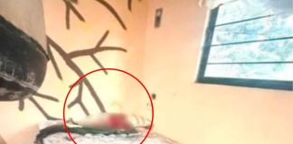 Joven de 17 años asesina a su hermano mayor a martillazos en la alcaldía Tlalpan