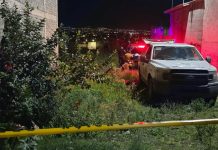 Hallan a joven asesinado en lote baldío de la colonia Quinceo, en Morelia