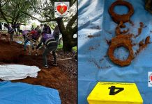 Localizan osamenta humana en una fosa de Cutzato, al sur de Uruapan Colectivo de madres buscadoras y autoridades en operativo de búsqueda en una huerta de aguacate de Uruapan.