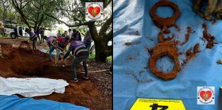 Localizan osamenta humana en una fosa de Cutzato, al sur de Uruapan Colectivo de madres buscadoras y autoridades en operativo de búsqueda en una huerta de aguacate de Uruapan.