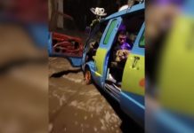 Lluvias en Puebla dejan varada a la Máquina del Misterio con todo y perrito a bordo