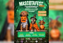¡Llega el MASCOTAFEST 2026 a Morelia! Conoce la sede y actividades ¡Llega el MASCOTAFEST 2026 a Morelia! Conoce la sede y actividades