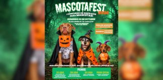 ¡Llega el MASCOTAFEST 2026 a Morelia! Conoce la sede y actividades ¡Llega el MASCOTAFEST 2026 a Morelia! Conoce la sede y actividades