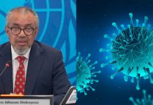 La OMS advierte en la ONU que una nueva pandemia es inminente; “es cuestión de cuándo”