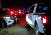 Matan a balazos a una pareja y un perro en la colonia La Nueva Aldea, en Morelia