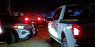 Matan a balazos a una pareja y un perro en la colonia La Nueva Aldea, en Morelia