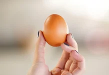 Día Mundial del Huevo: ¿estrellado, revuelto o en omelette? Lo que debes saber sobre este alimento básico