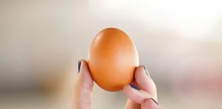 Día Mundial del Huevo: ¿estrellado, revuelto o en omelette? Lo que debes saber sobre este alimento básico