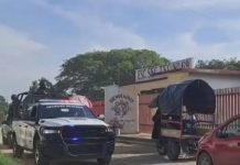 ¡Terror en las aulas de Oaxaca! Comando armado irrumpe en secundaria de San Blas Atempa y asesina a profesor