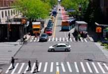 ¿Quién tiene prioridad en las calles? Estas son las reglas de educación vial que todos deben conocer