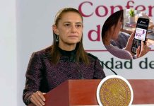 ¿Buscas “feminicidio” o “acoso” en TikTok? Así funciona la nueva herramienta de ayuda