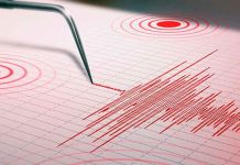 Reportan sismo de 4.0 cerca de la costa de Lázaro Cárdenas