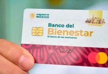 ¿Qué hacer si venció mi tarjeta del Bienestar en Michoacán? Adultos mayores revisan sus documentos y su nueva tarjeta del Banco del Bienestar durante el proceso de reposición en Michoacán.