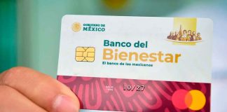 ¿Qué hacer si venció mi tarjeta del Bienestar en Michoacán? Adultos mayores revisan sus documentos y su nueva tarjeta del Banco del Bienestar durante el proceso de reposición en Michoacán.