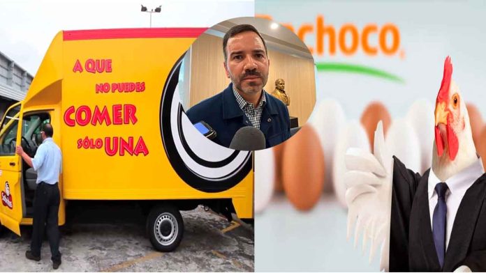 yankel-empresas